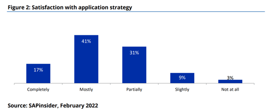 SAP application development strategy satisfaction
