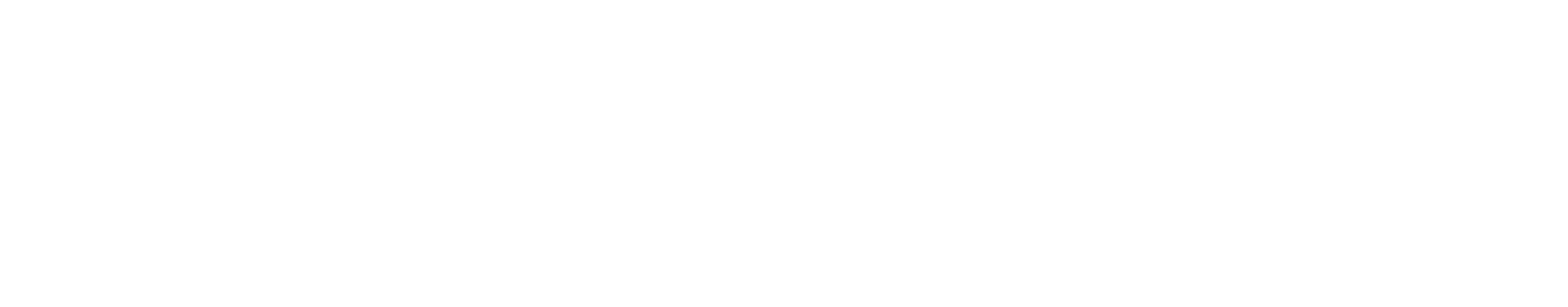 Payless logo white