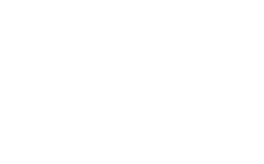 SAP_2011_logo2