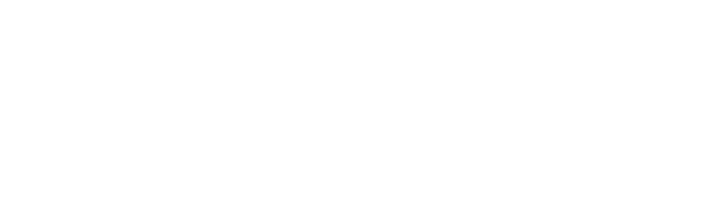 navisite-logo