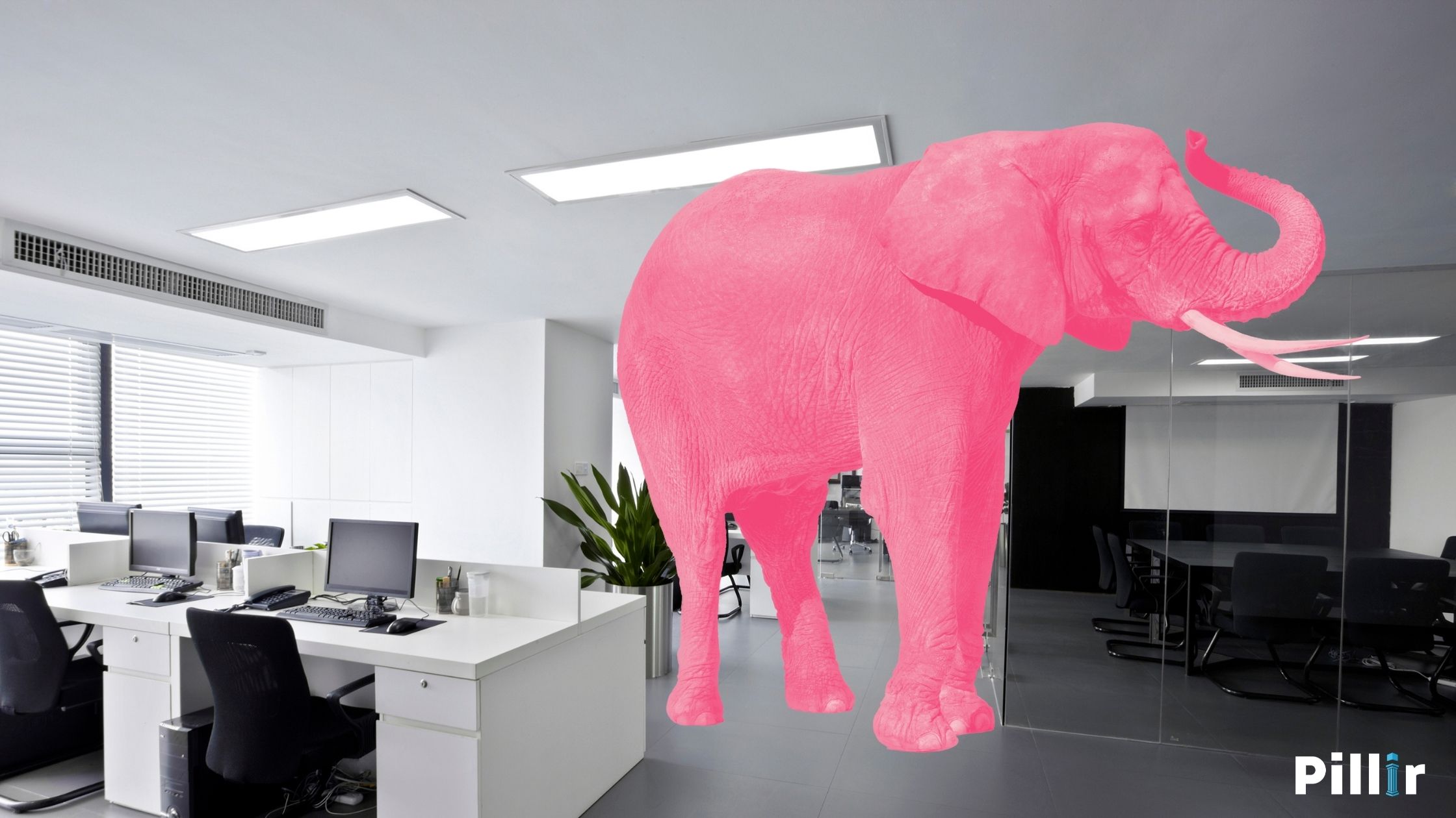 SAP’s pink elephant in the room